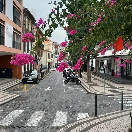 Local Trigal Apartment